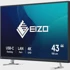 EIZO LED monitor EV4340X-BK, 42.5", UltraHD/4K, crni